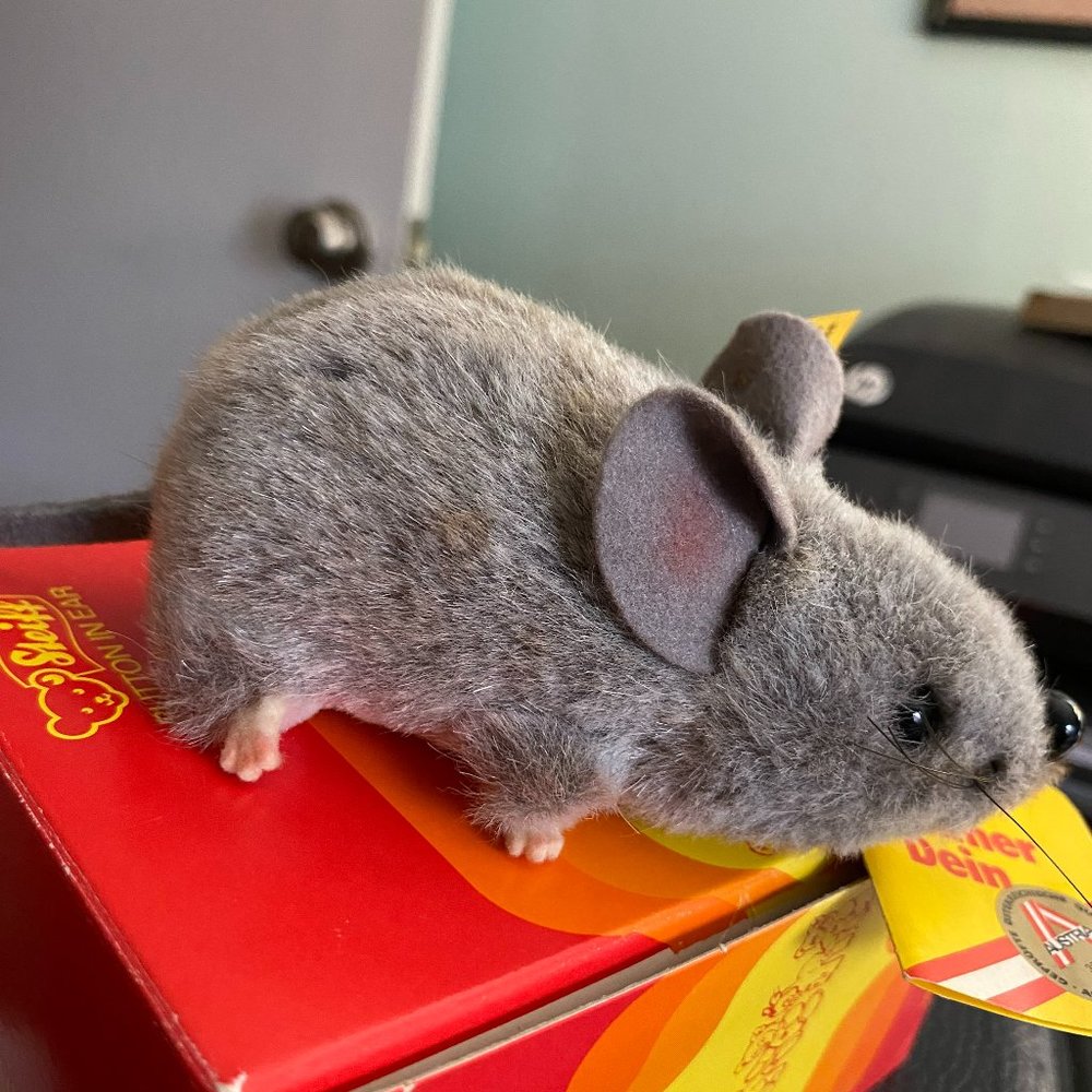 Steiff Mouse in Box
